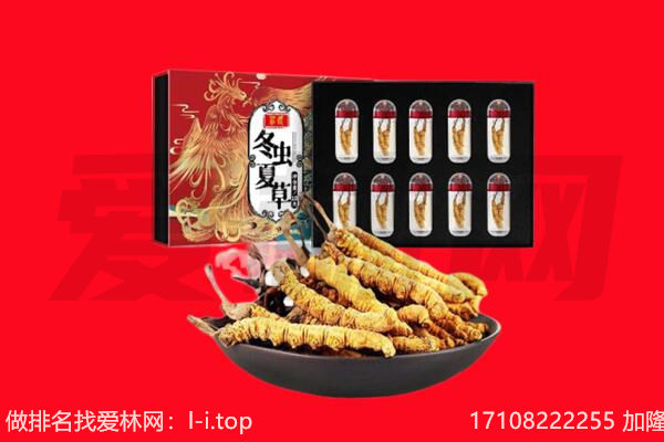 延边龙井市回收虫草.jpg